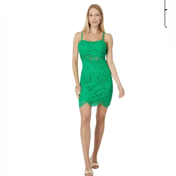Lilly Pulitzer Brazilian Green Risette Lace Dress - Picture 15 of 15